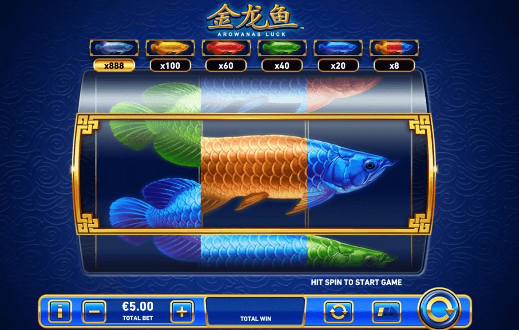 Arowanas Luck Graphics Canada