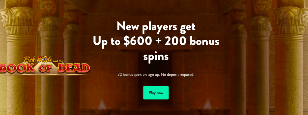 Dunder bonus
