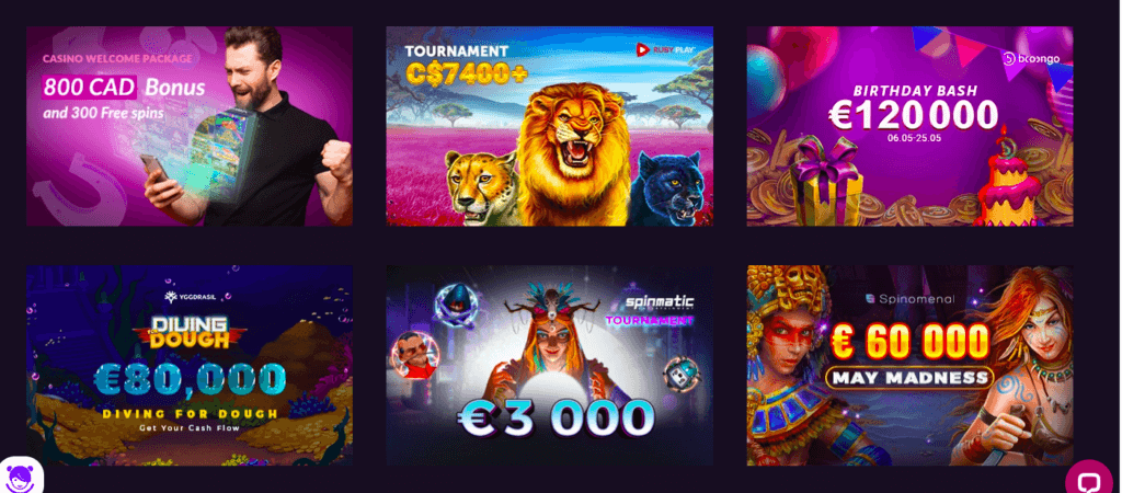 VBet Offers