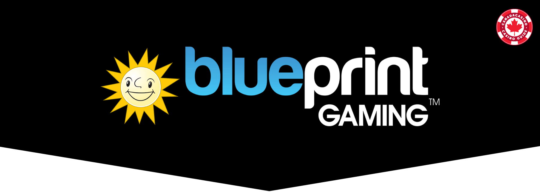 Playing Gamdom Casino Book of Dead in New Zealand