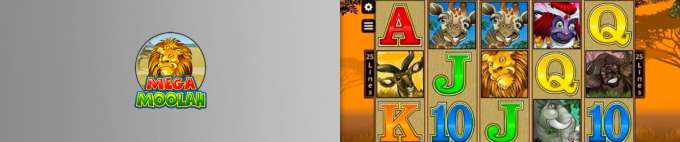 Play Mega Moolah Mega Moolah Slot
