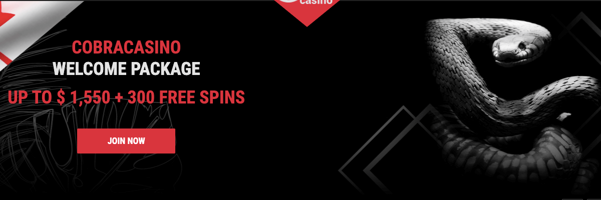 Claim your Cobra Casino welcome bonus Cobra Casino welcome bonus