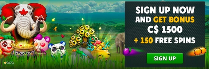 Playamo casino welcome bonus